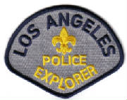 LOS ANGELES POLICE DEPARTMENT SHOULDER PATCH: Tactical Subdued